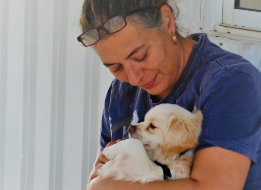 Constantina Constantinou: Volunteer at Saving Pound Dogs Cyprus