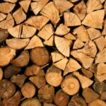 Repurposing Wood Waste for Sustainable Alternatives to Fossil-Based Chemicals
