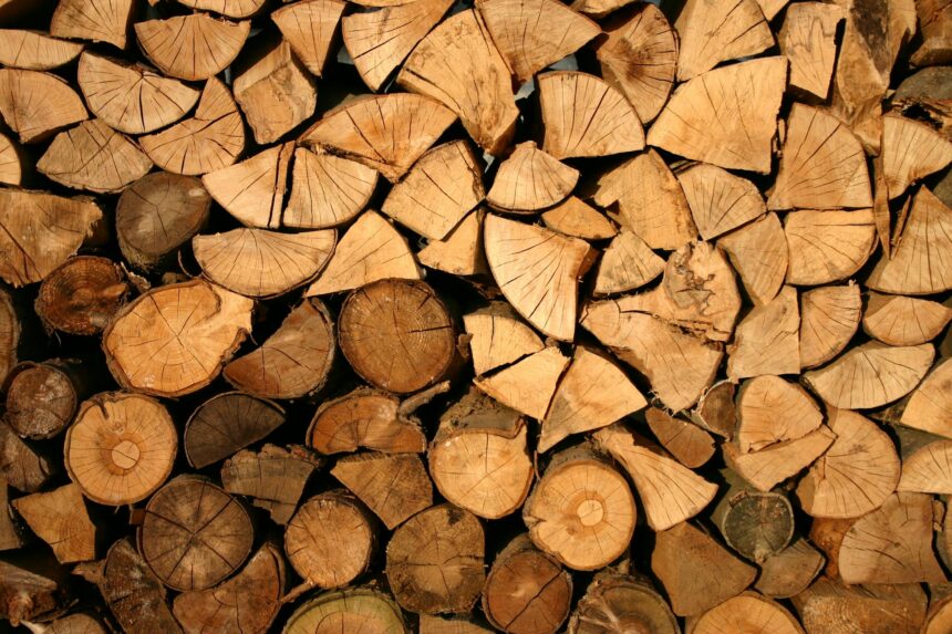Repurposing Wood Waste for Sustainable Alternatives to Fossil-Based Chemicals