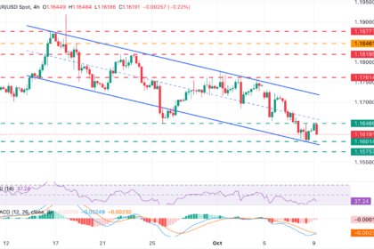 Euro Struggles as Political Uncertainty in France Weighs on Markets