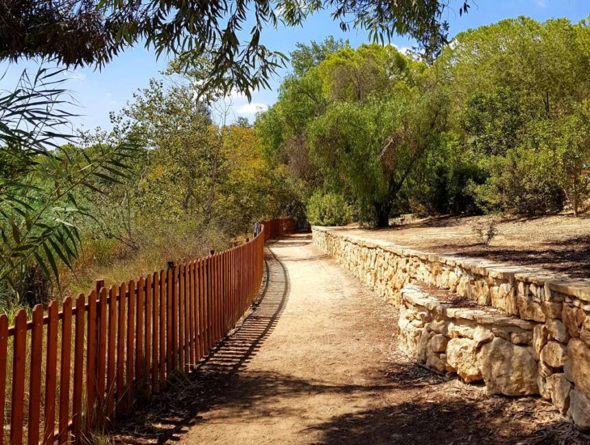Nicosia Forest Road Extension Sparks Opposition