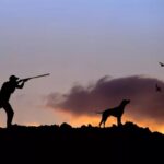 Authorities Rescue 10 Wild Birds Amid Illegal Poaching Crackdown