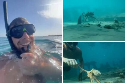 British Tourist Forms Remarkable Bond with Octopus in Cyprus