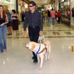 Cyprus Moves to Guarantee Legal Rights for Assistance Dogs