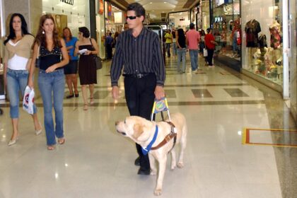 Cyprus Moves to Guarantee Legal Rights for Assistance Dogs