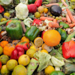 Cyprus Tops EU in Food Waste, Sparking New Regulations