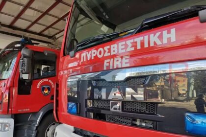 Nicosia fire: Nicosia Woman and Pet Rescued from Blaze at Entertainment Venue