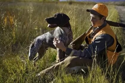 Hunting Season Starts November 2 with 37,000 Participants