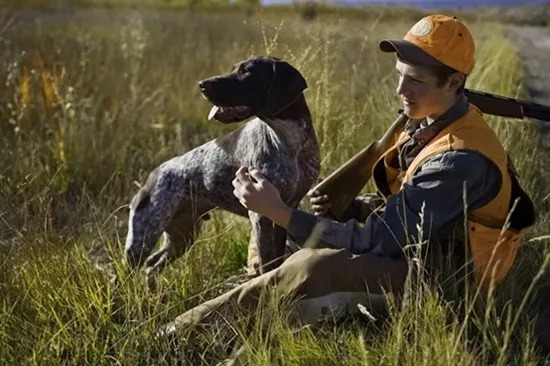 Hunting Season Starts November 2 with 37,000 Participants