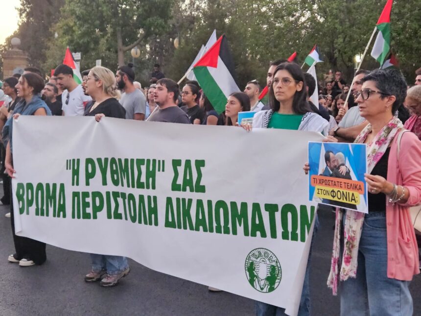 Protests Against Police Violence at Gaza Flotilla Demonstration