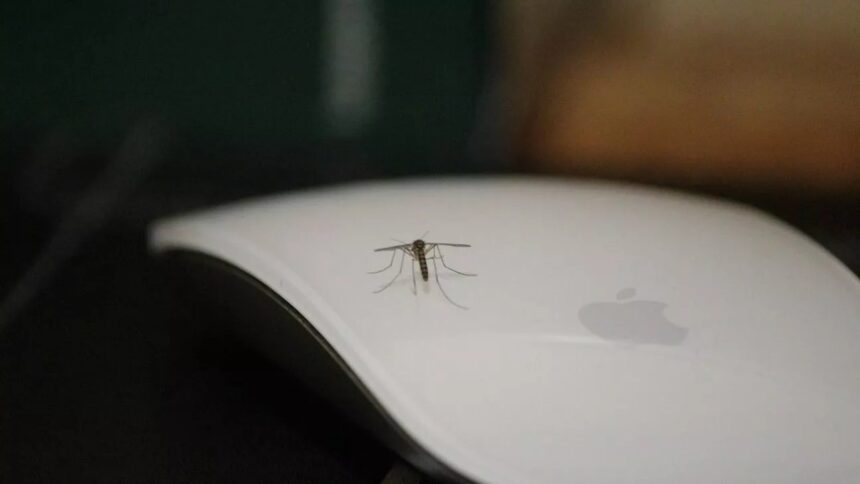 Larnaca's Door-to-Door Campaign Tackles Mosquito Surge