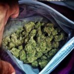 Police Seize 6.84 Kilogrammes of Cannabis in Nicosia