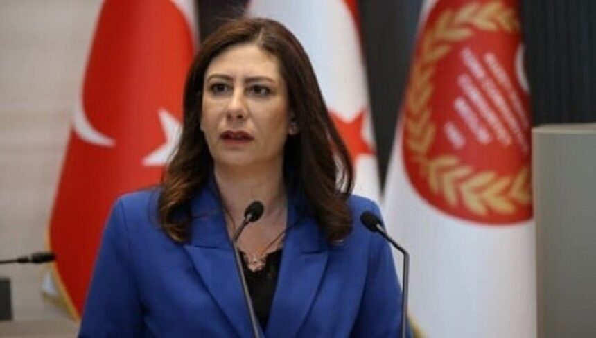 Sila Usar Incirli Announces Candidacy for CTP Leadership