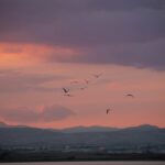 Driver Fined €2,000 for Off-Roading in Larnaca Salt Lake