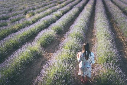 Women Driving Rural Innovation Across Europe