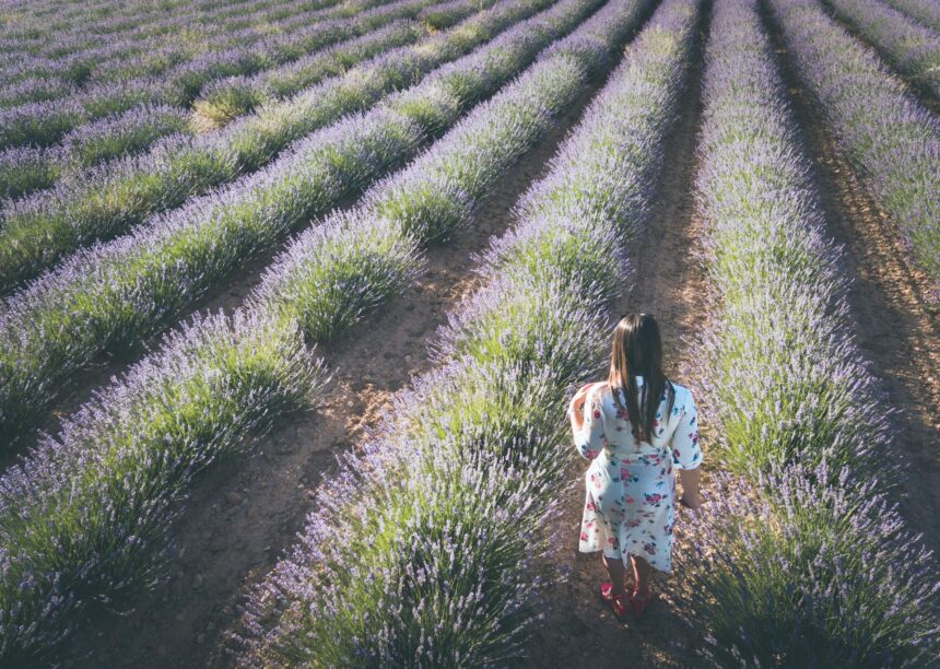 Women Driving Rural Innovation Across Europe