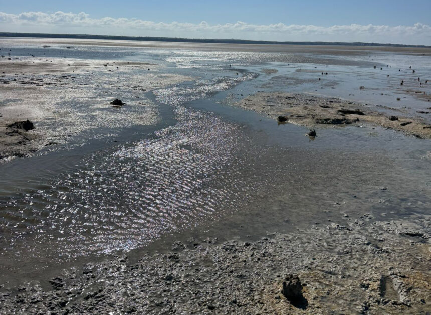 Terra Cypria Highlights Environmental Threats to Akrotiri Wetland