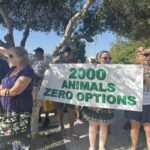 Paphos shelter: Animal Party May Bring 2,000 Animals to Presidential Palace Over Shelter Closure