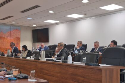 Law Commissioner Highlights Staffing Shortages at Budget Hearing