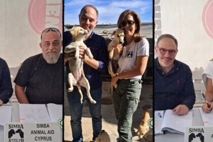 Nicosia Municipality Partners with Simba Animal Aid for Stray Dog Shelter Management