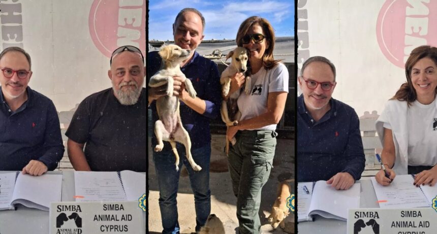 Nicosia Municipality Partners with Simba Animal Aid for Stray Dog Shelter Management