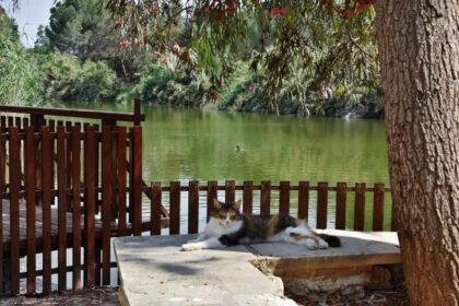 Athalassa Park Road Extension Threatens Nicosia Residents' Life Expectancy