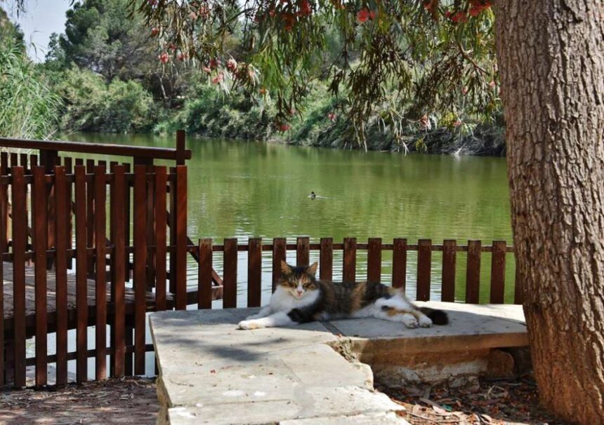 Athalassa Park Road Extension Threatens Nicosia Residents' Life Expectancy