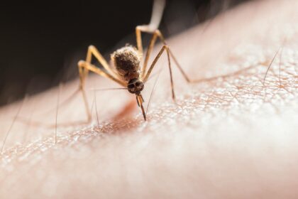 Innovative Malaria Vaccine Brings New Hope for Mothers and Babies in Africa