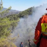 Paphos fires: Firefighters Contain Two Blazes Near Paphos Villages