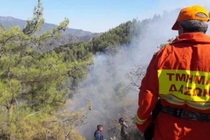 Paphos fires: Firefighters Contain Two Blazes Near Paphos Villages