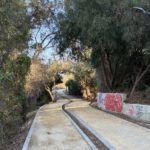The Power of a Brisk Walk in Nicosia
