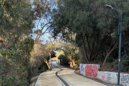 The Power of a Brisk Walk in Nicosia