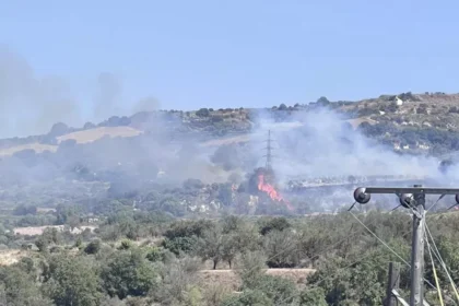 New Wildfire Breaks Out Between Yiolou and Drymou