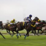 Cyprus Sets €85 Fine for Speeding Horses and Loud Dogs