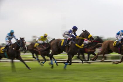 Cyprus Sets €85 Fine for Speeding Horses and Loud Dogs