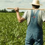 Farmers Given Extra Year for Forest Land Licences