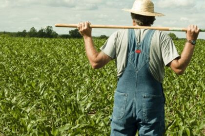 Farmers Given Extra Year for Forest Land Licences