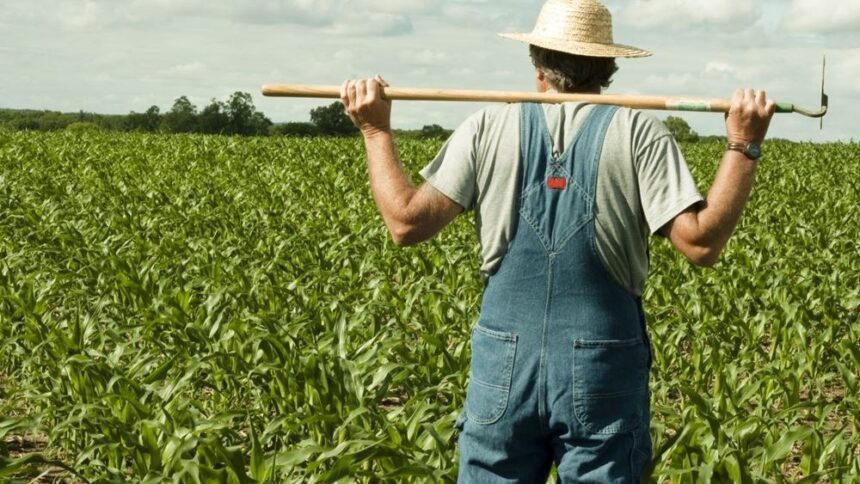 Farmers Given Extra Year for Forest Land Licences