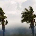 Windy Start to New Year’s Day as Storms Calm