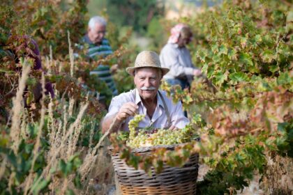 Commandaria Wine Receives UNESCO Intangible Heritage Recognition