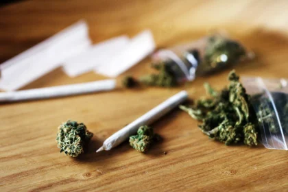 Volt Cyprus Proposes Cannabis Legalisation Amidst Controversy