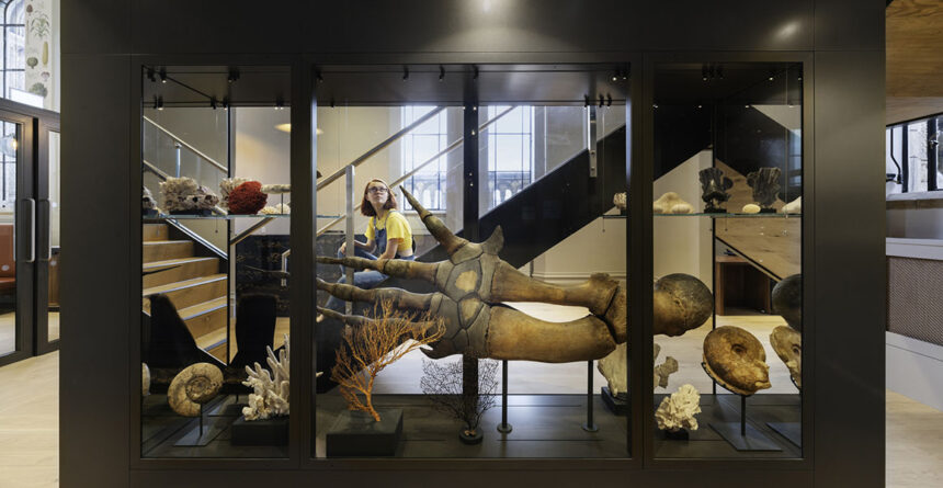 Cyprus' First Natural History Museum: Experts Call for Establishment