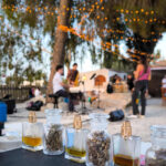 Halkos Botanicals: Unveiling Cyprus' Natural Aromas