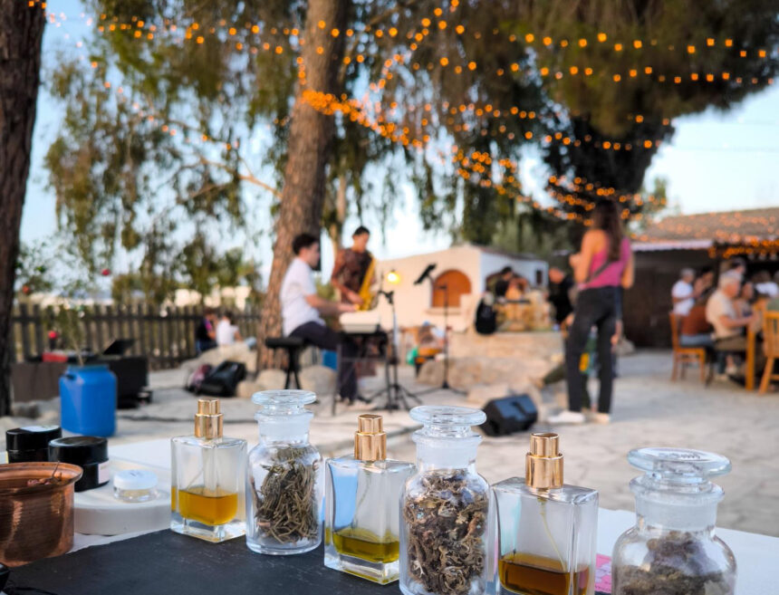 Halkos Botanicals: Unveiling Cyprus' Natural Aromas