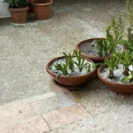 Paphos Transformed into Winter Wonderland by Torrential Rain and Hail
