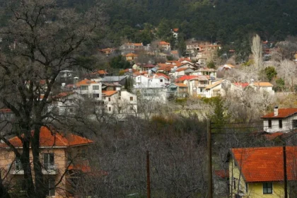 Mountainous Regions and Gastronomy in Cyprus Tourism