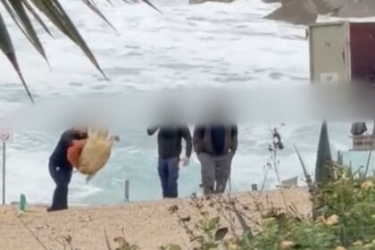 Men filmed mistreating sea turtle in Chlorakas