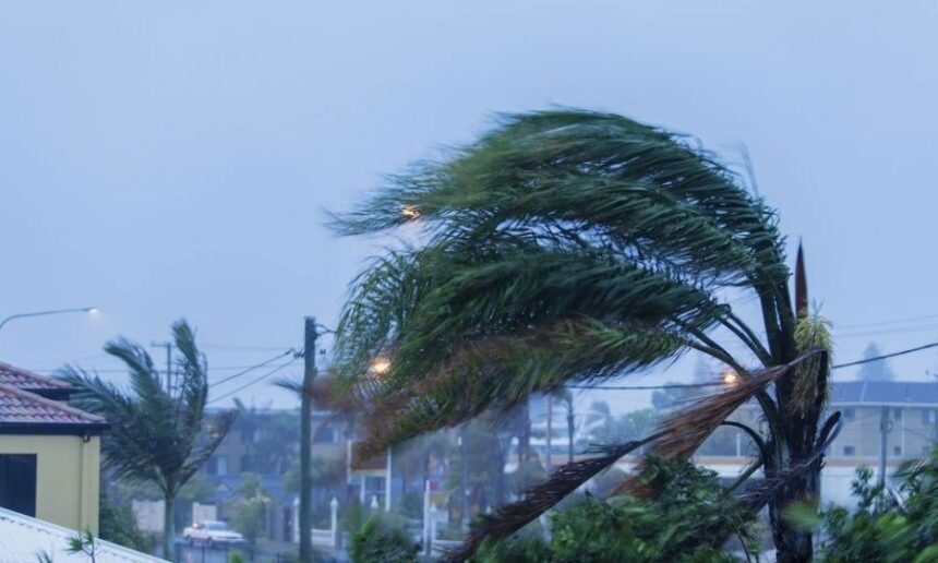 Gale Force Winds Expected in Cyprus on Friday