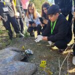 Students Investigate Wildlife Crime in Griffon Vulture Programme