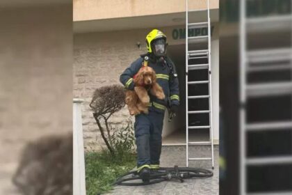 Larnaca fire: Firefighter Saves Family Dog During Larnaca Apartment Blaze